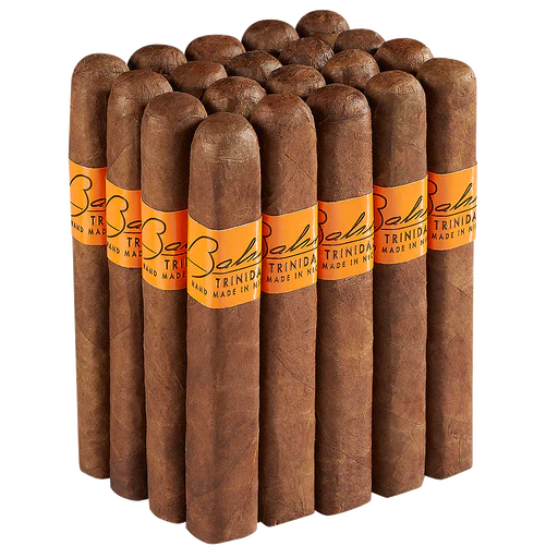 Bahia Trinidad Pancho Robusto - Image 3