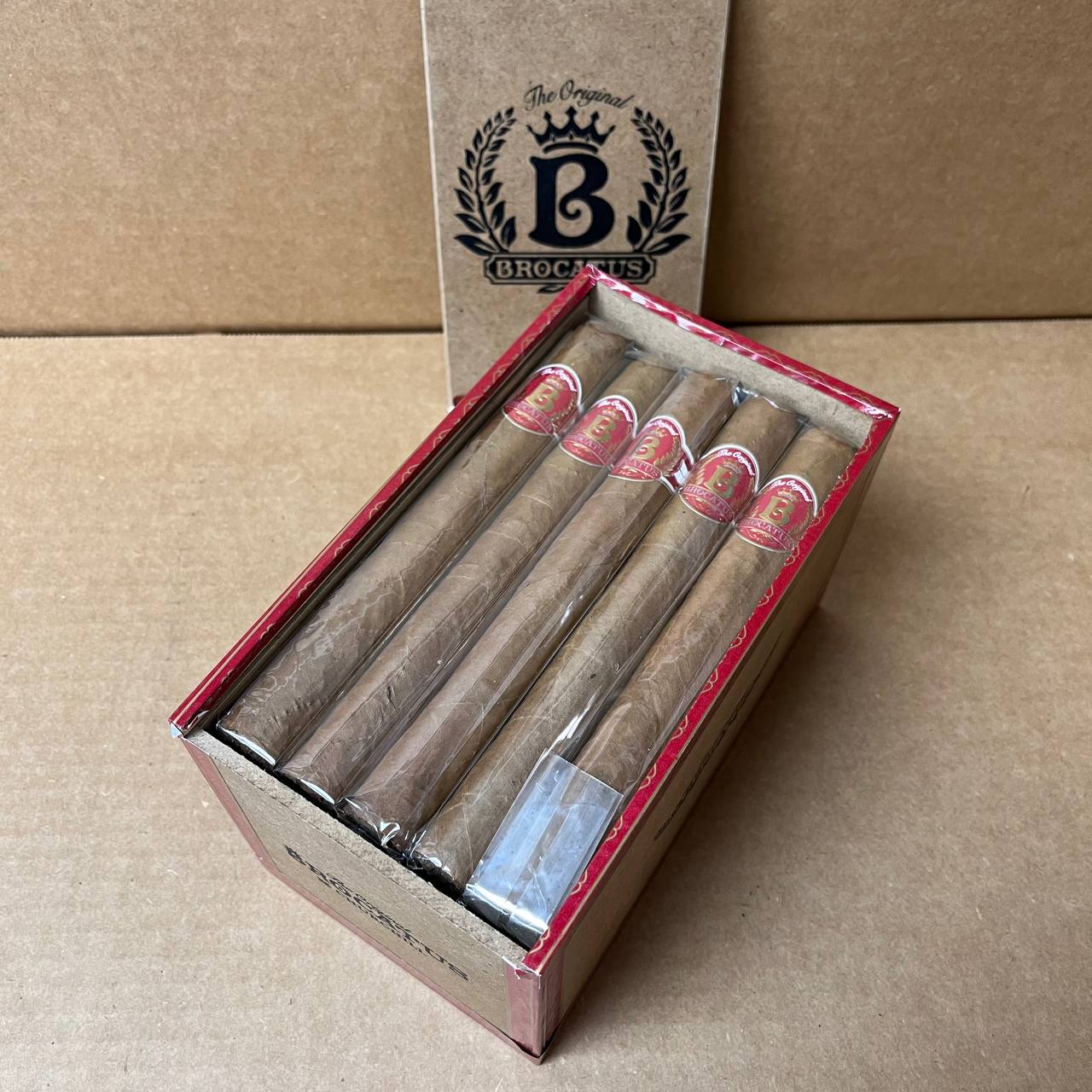 Brocatus Churchill - Image 3