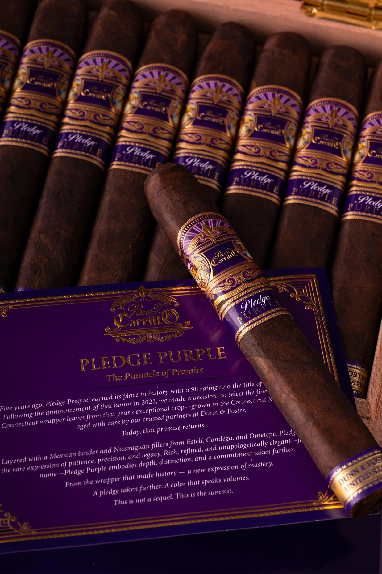 E.P. Carrillo Pledge Purple Toro - Image 3