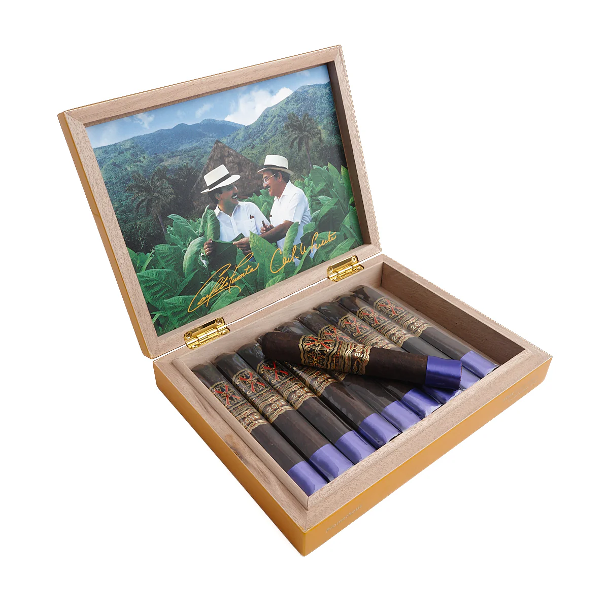 FFOX Heaven and Earth Scorpio Maduro - Image 2