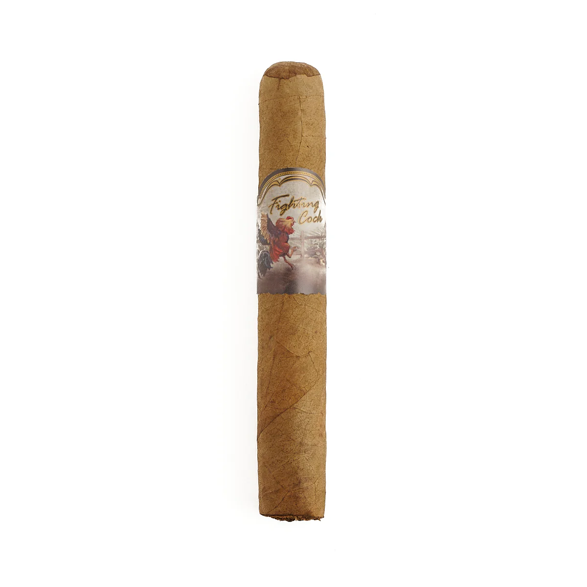 Fighting Cock Robusto - Image 3