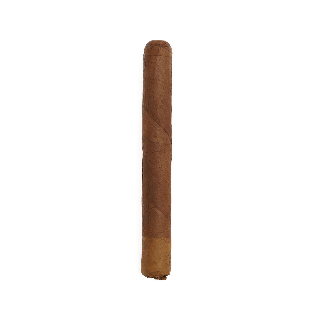 Gran Habano Persian King Rajah - Image 2