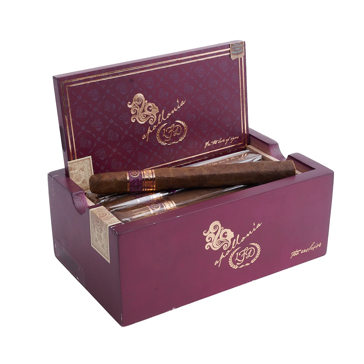La Flor Dominicana Apollonia TAA 2025 - Image 2