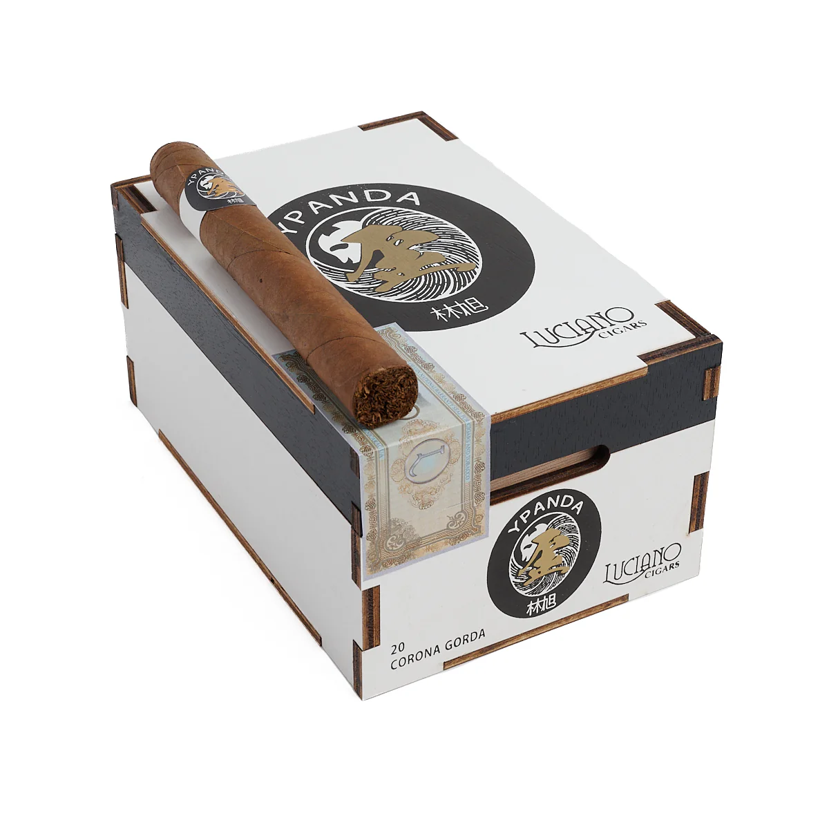 Luciano Y Panda Corona Gorda