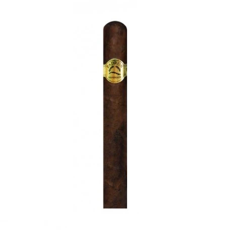 Padron Corticos Cigarillo Maduro - Image 4