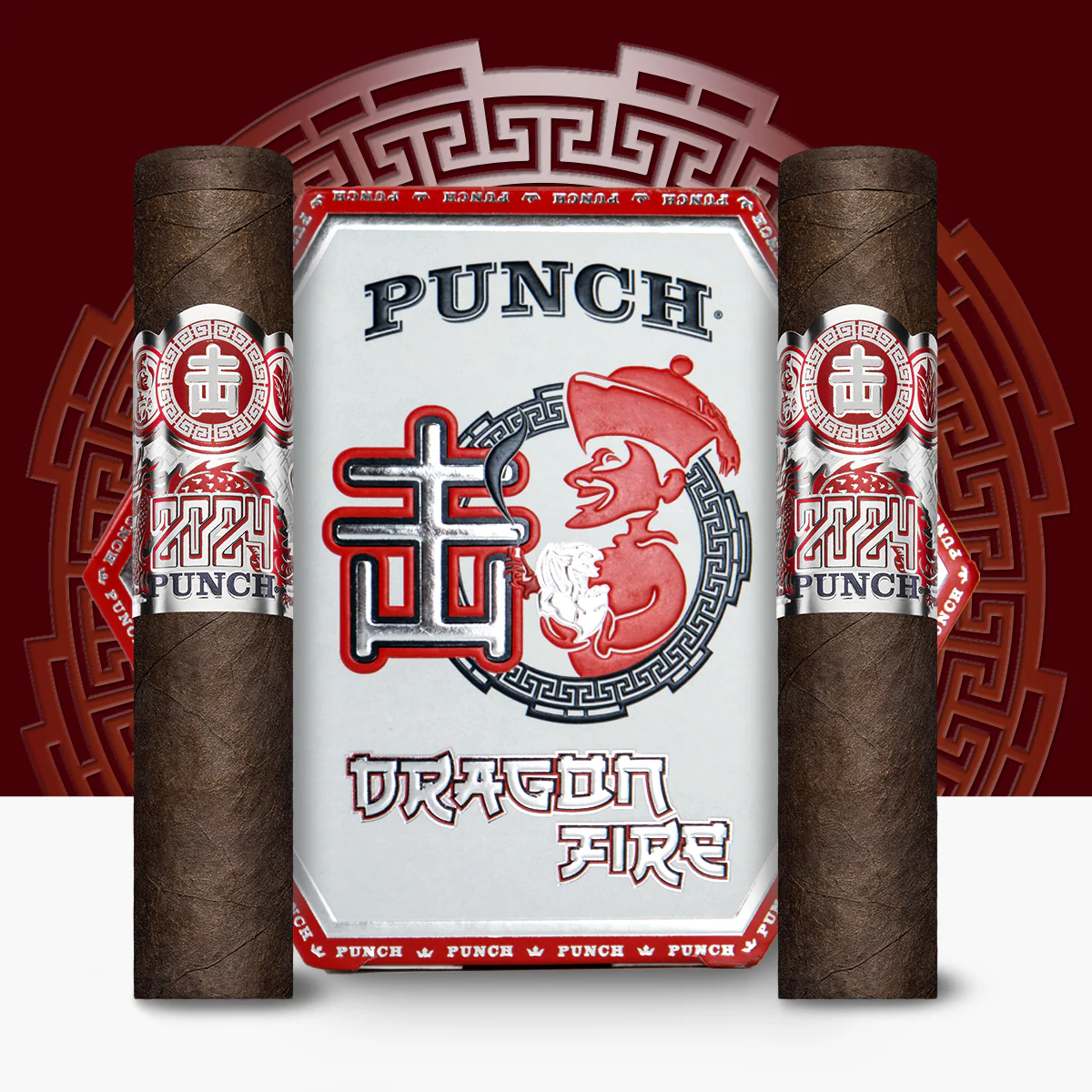 Punch Dragon Fire 2024 - Image 4