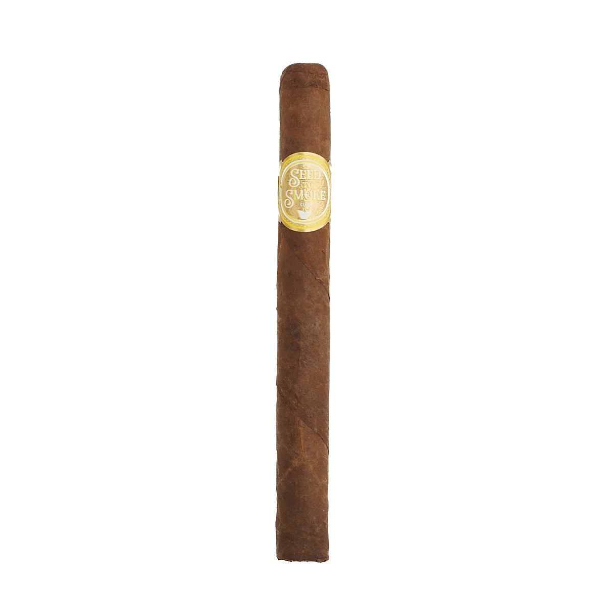 Rocky Patel Seed to Smoke Classic Churchill - Image 2