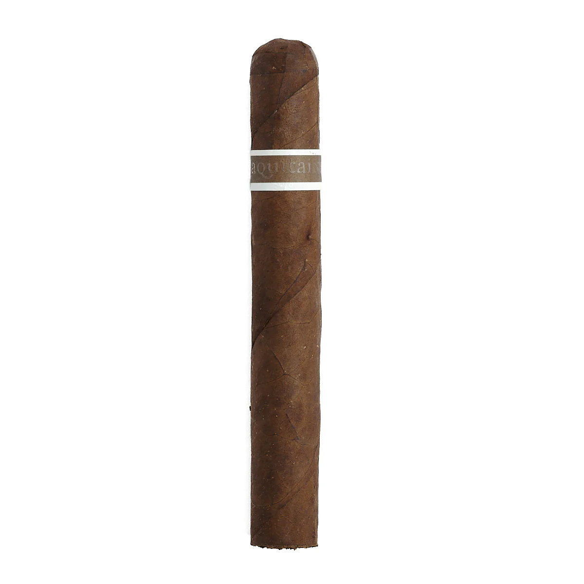 RoMa Craft CroMagnon Aquitaine Cranium Toro - Image 2