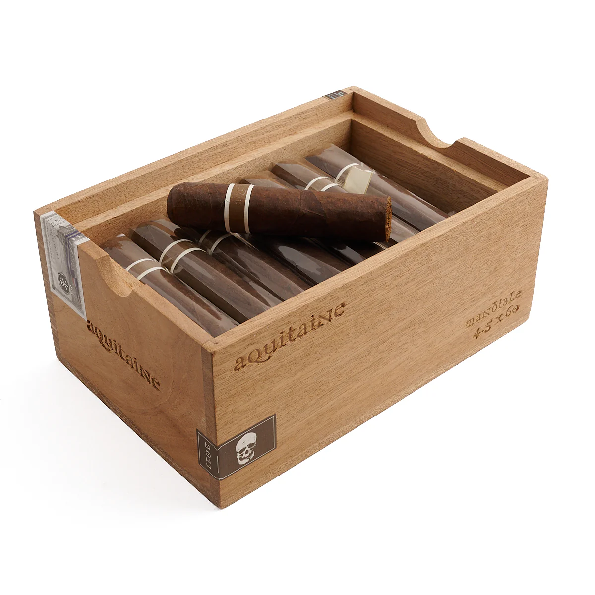 RoMa Craft CroMagnon Aquitaine Mandible - Image 2