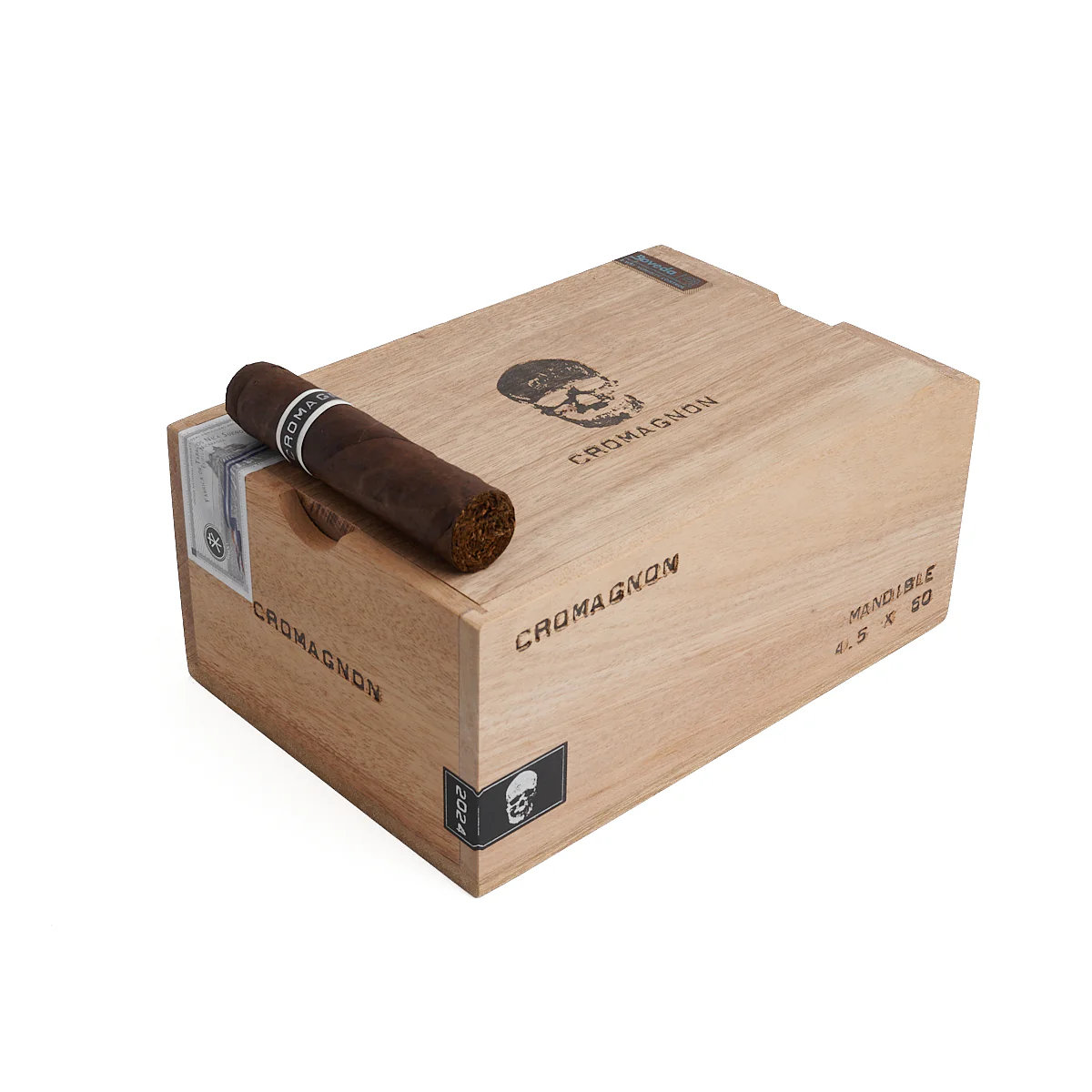 RoMa Craft CroMagnon Mandible Gordo