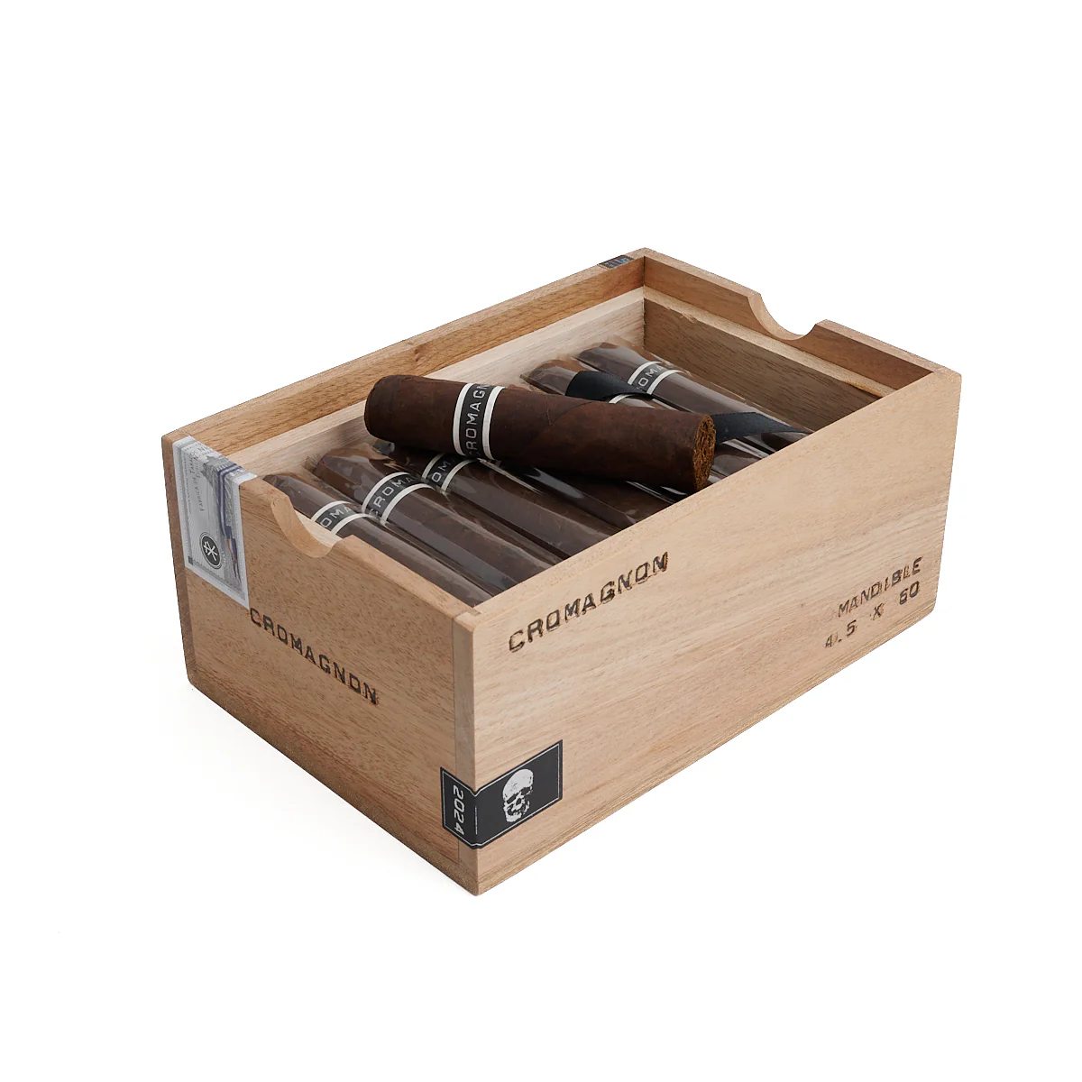 RoMa Craft CroMagnon Mandible Gordo - Image 2
