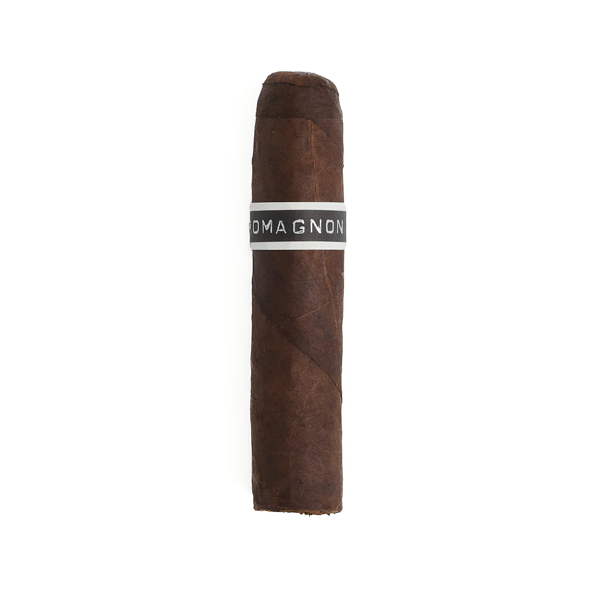 RoMa Craft CroMagnon Mandible Gordo - Image 3