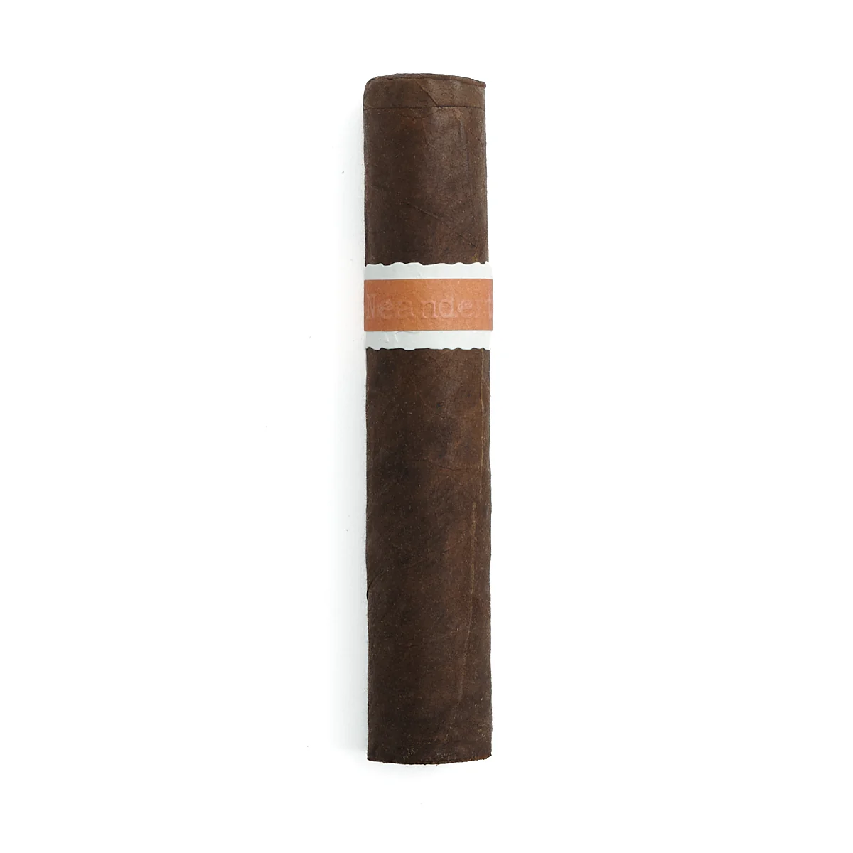 RoMa Craft Neanderthal SGP Rothschild - Image 2