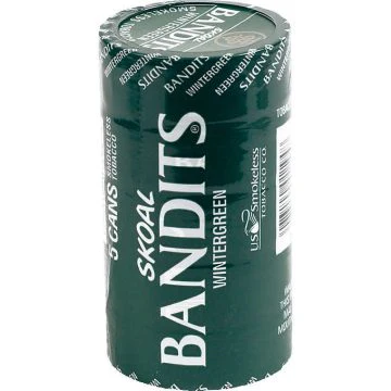 Skoal Bandit Wintergreen Pouches - Image 2