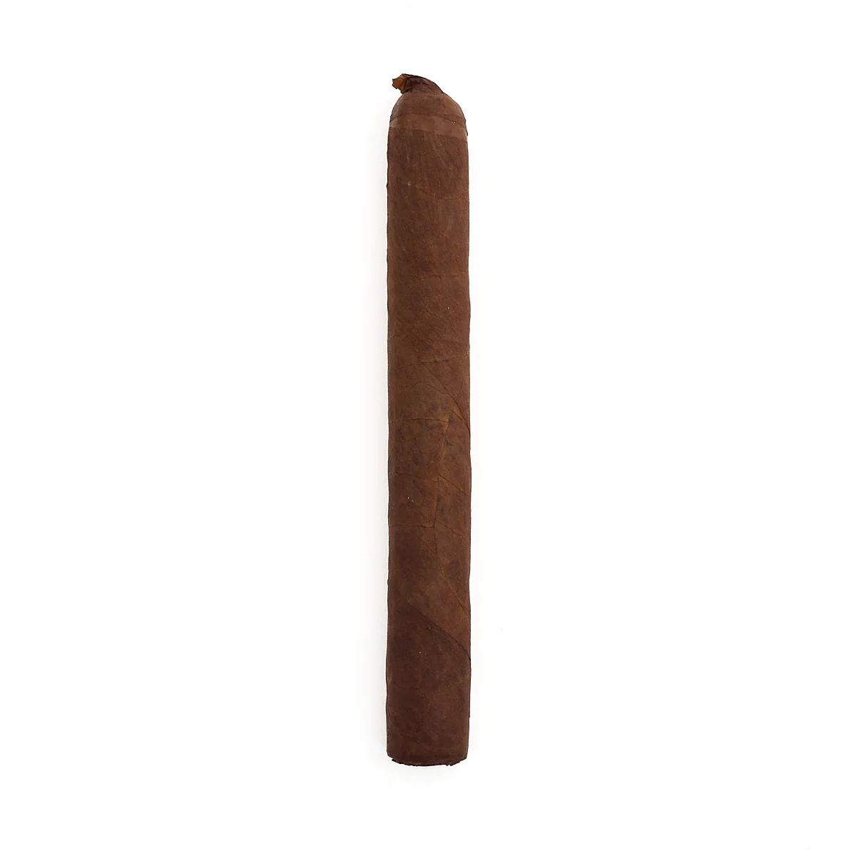 Tatuaje Miami Series P1 - Image 2