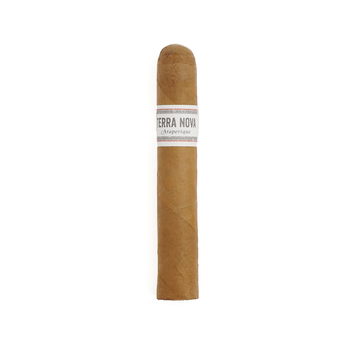 Terra Nova Ara Robusto - Image 2