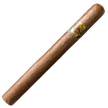 Trinidad y Cia Corona Extra - Image 4